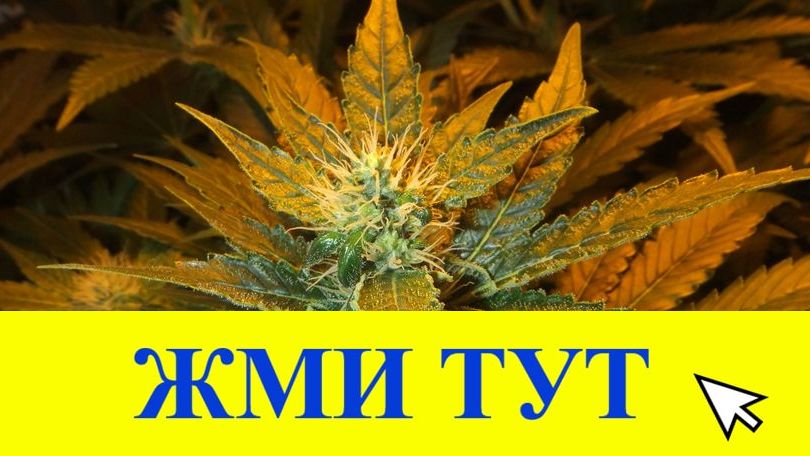 Купить наркотики в Великом Устюге